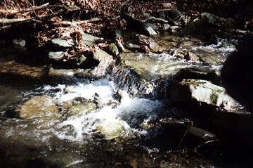 bubbling brook
