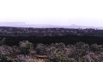 lava coast