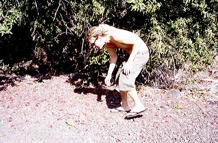 Bill with lizard