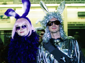 bunny divas