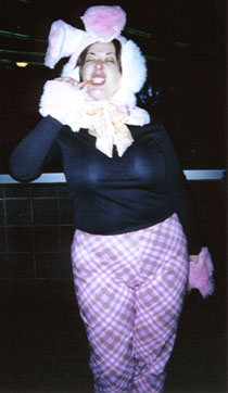 plaid bunny